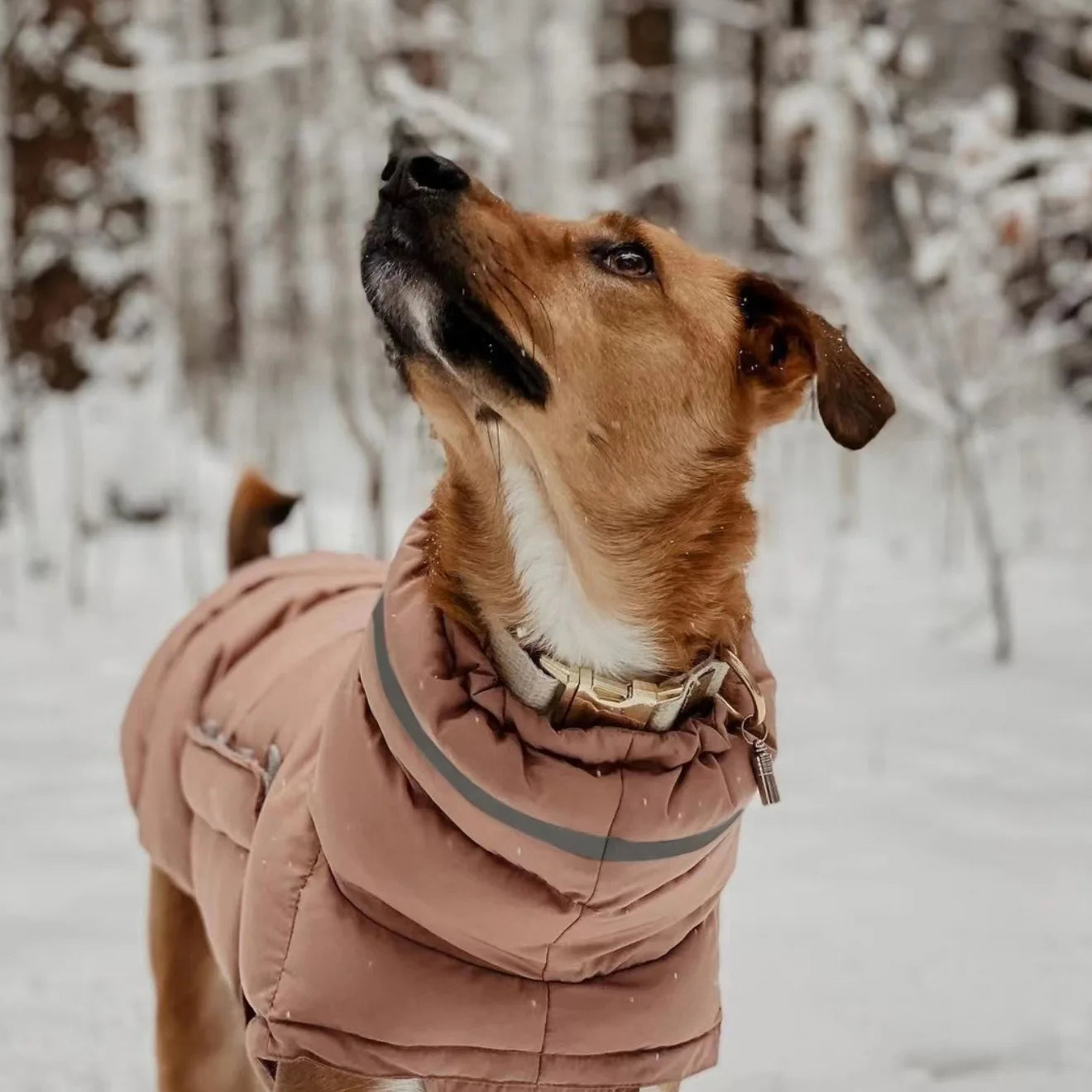 Wintermantel mit Rollkragen