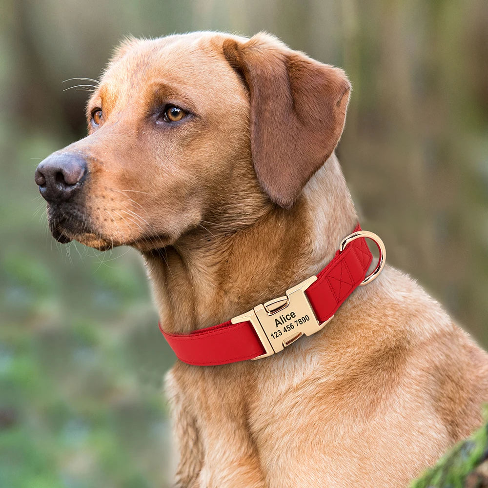 Hond Halsband Stevig – Duurzame, Verstelbare en Gepersonaliseerde Hondenhalsband met Naam
