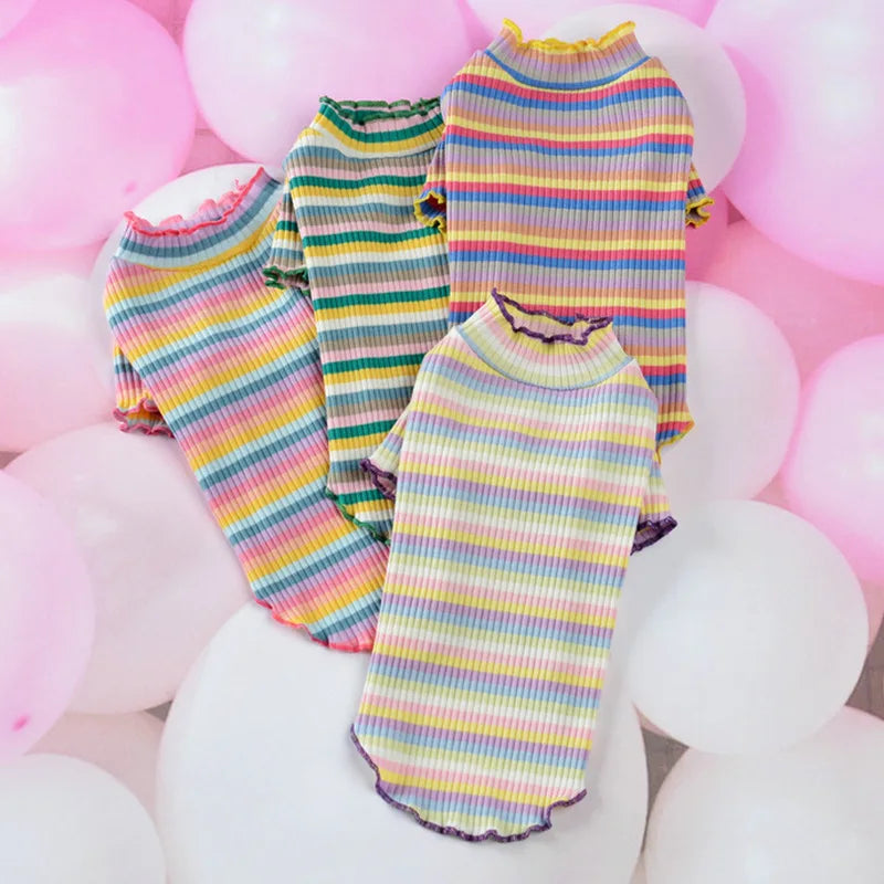 Regenbogen-T-Shirt