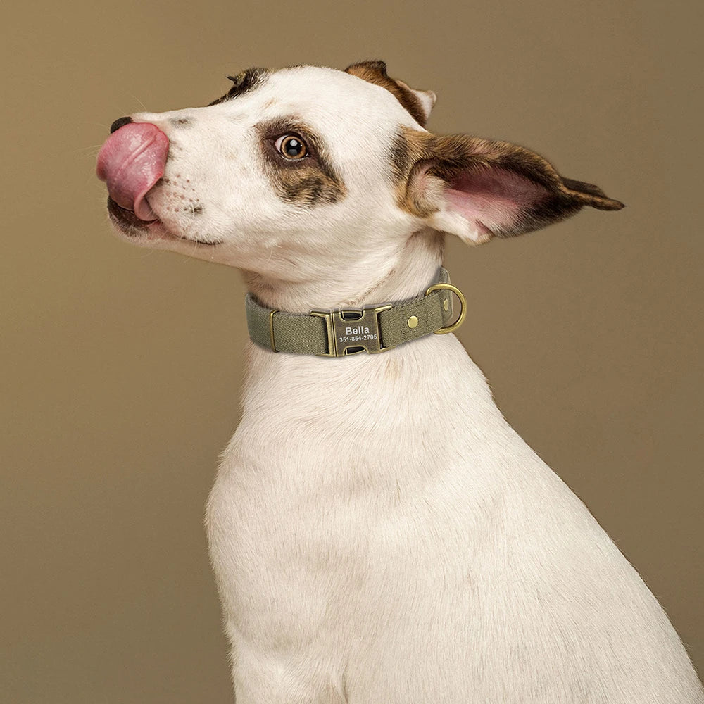 Nylon Gepersonaliseerde Halsband – Uniek en Stijlvol voor je Hond