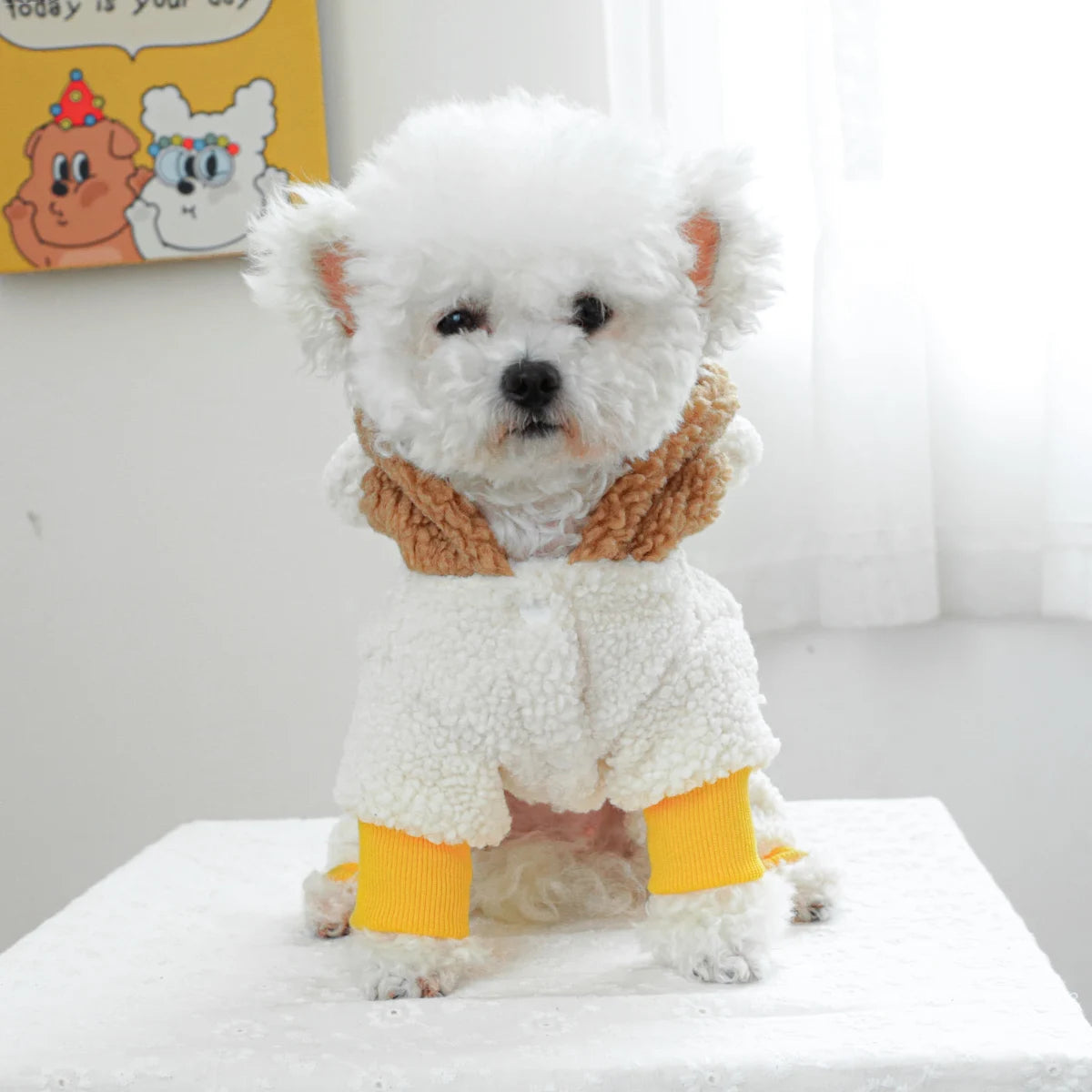 Schattige Hoodie