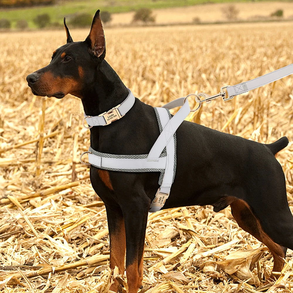 Honden Tuig & Lijn Set Gepersonaliseerd - Comfortabel & Verstelbaar