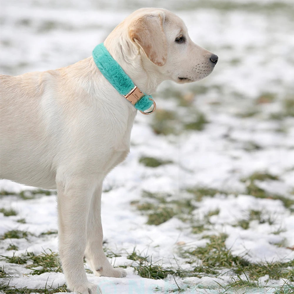 Gepersonaliseerde Teddy Halsband – Warm, Zacht en Veilig