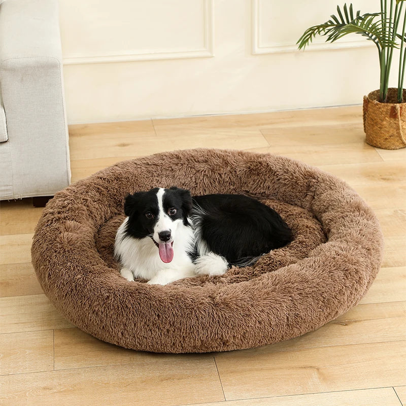 Weiches rundes Hundebett – gemütlich und bequem