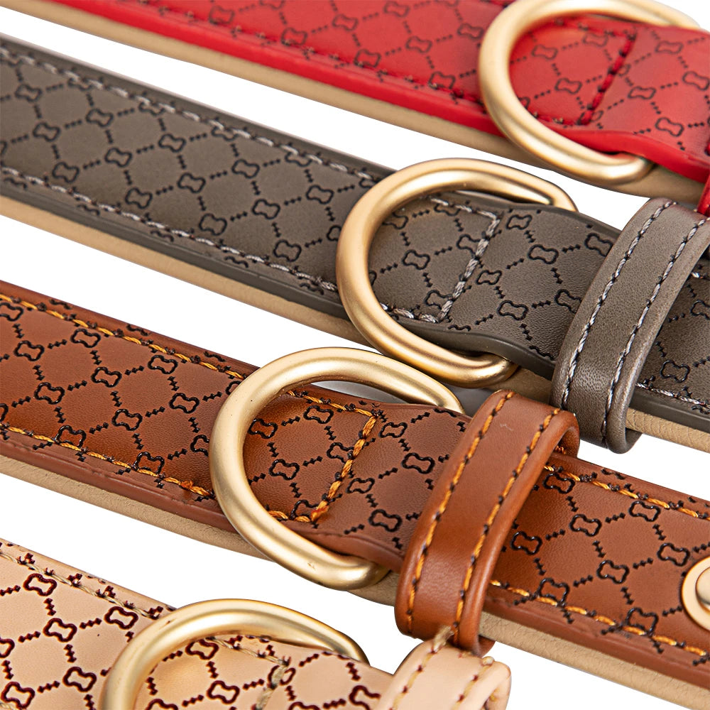 Hippe Gepersonaliseerde Halsband – Stijlvolle Identificatie voor Jouw Hond