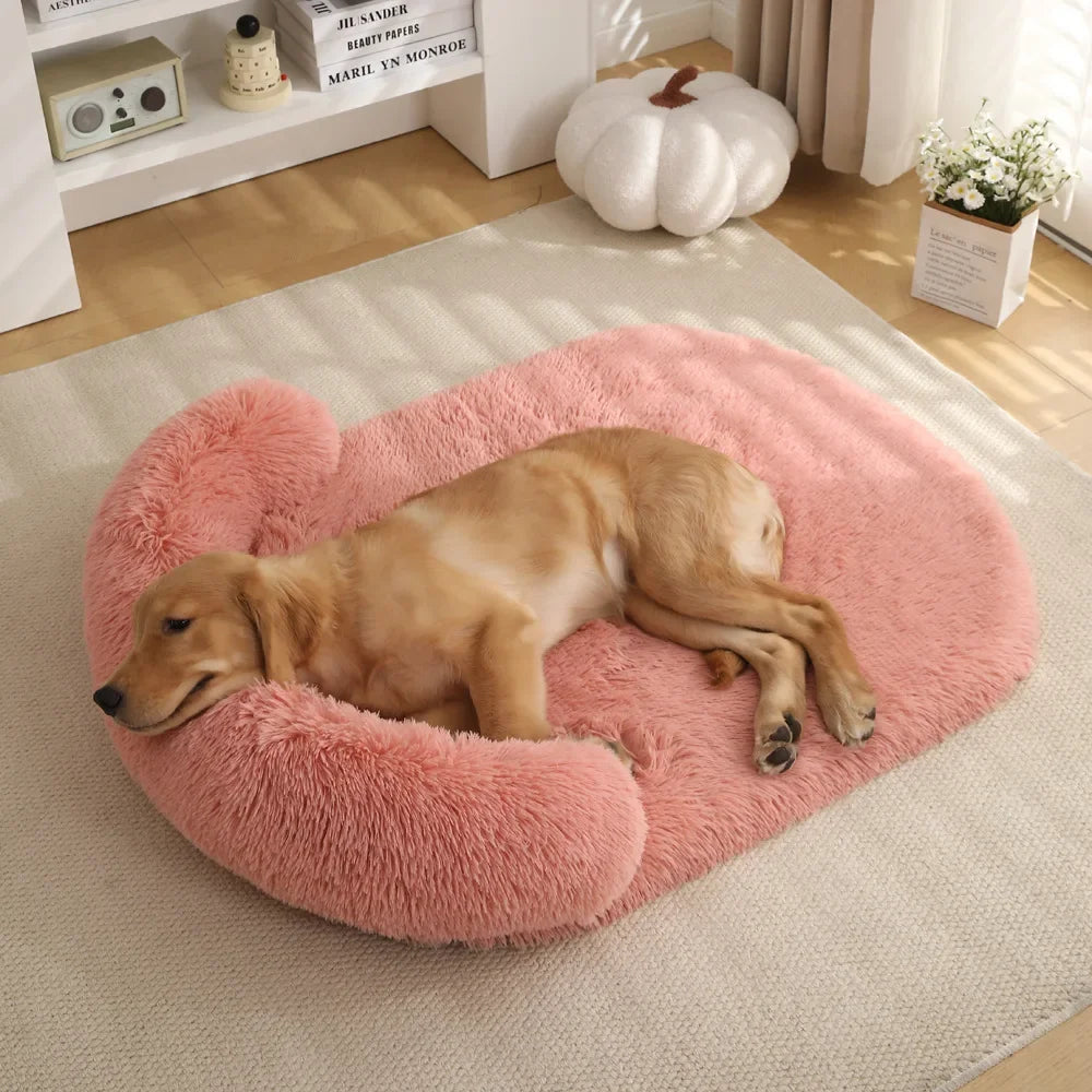 Flauschiges orthopädisches Hundebett mit Kissen – warm, stützend und waschbar