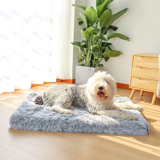Hondenbed Ultra Plush Orthopedisch – Comfort en Ondersteuning voor je Viervoeter