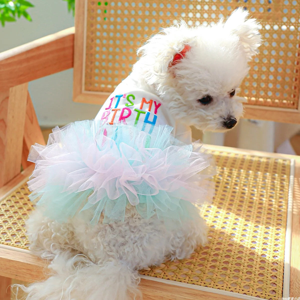 It's My Birthday Jurk