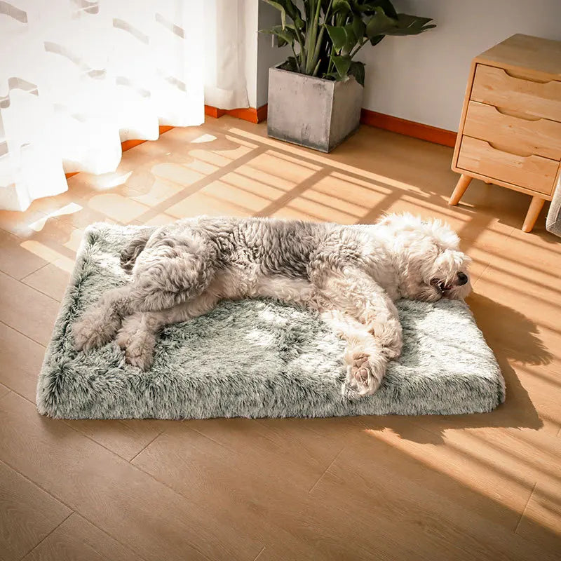 Hondenbed Ultra Plush Orthopedisch – Comfort en Ondersteuning voor je Viervoeter
