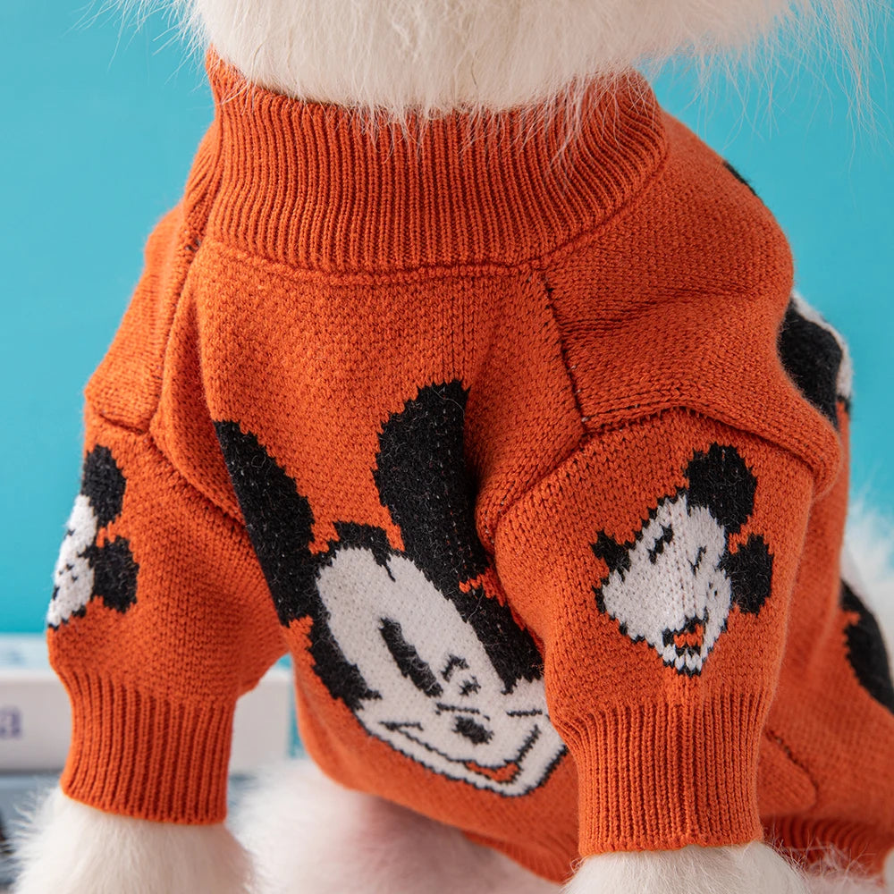 Mickey Mouse Trui
