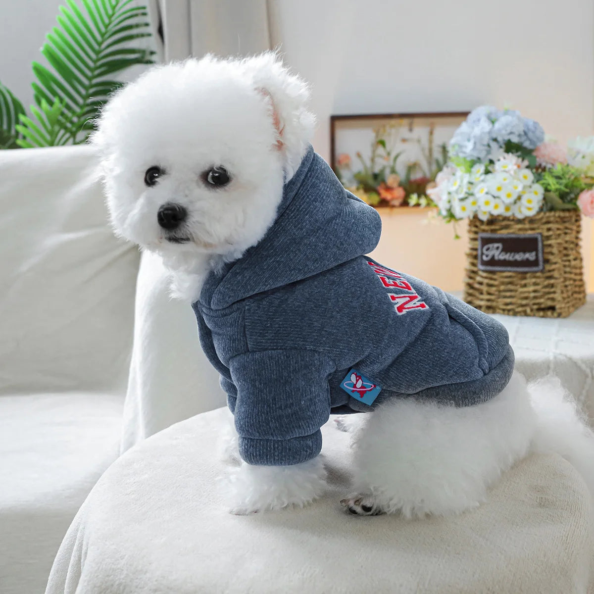 New York Hoodie