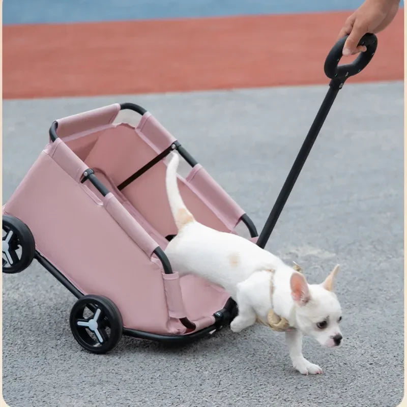 Hondenwandelwagen – Comfortabele Reis voor je Hond
