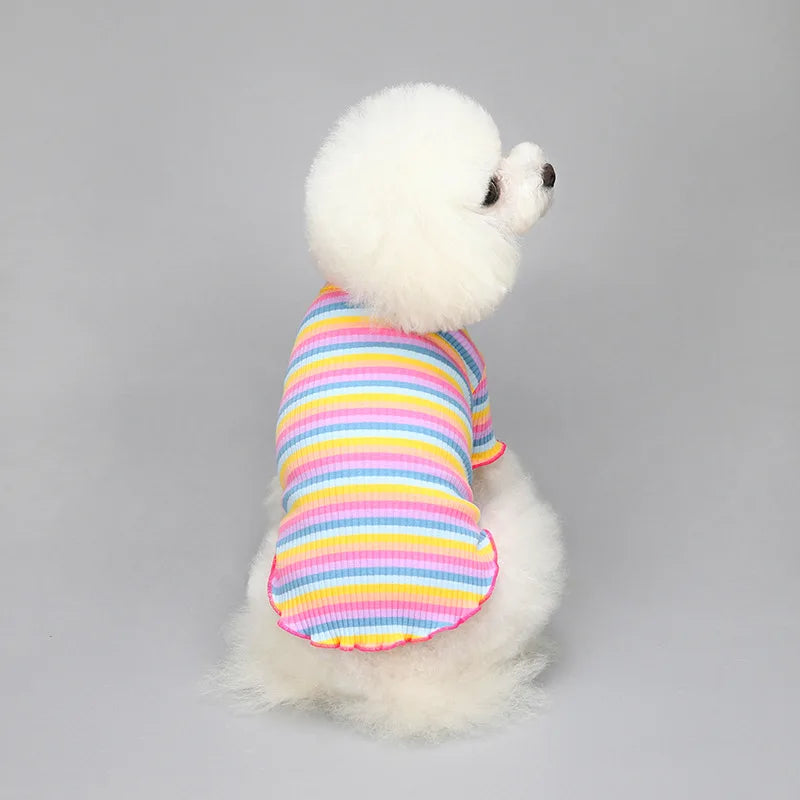 Regenbogen-T-Shirt