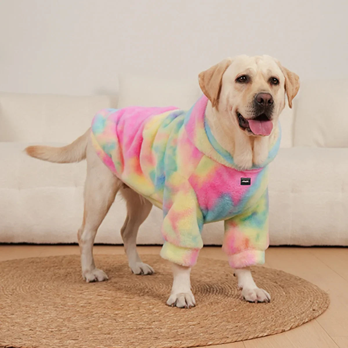 Kleurrijke Hoodie