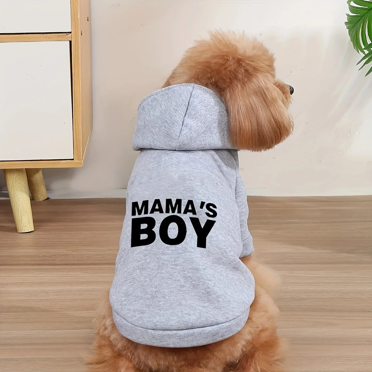 Mama´s boy Trui
