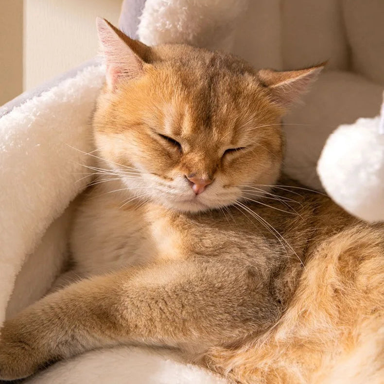 Teddybär-Hundesofabett – Warmes und bequemes Nest für Ihren vierbeinigen Freund