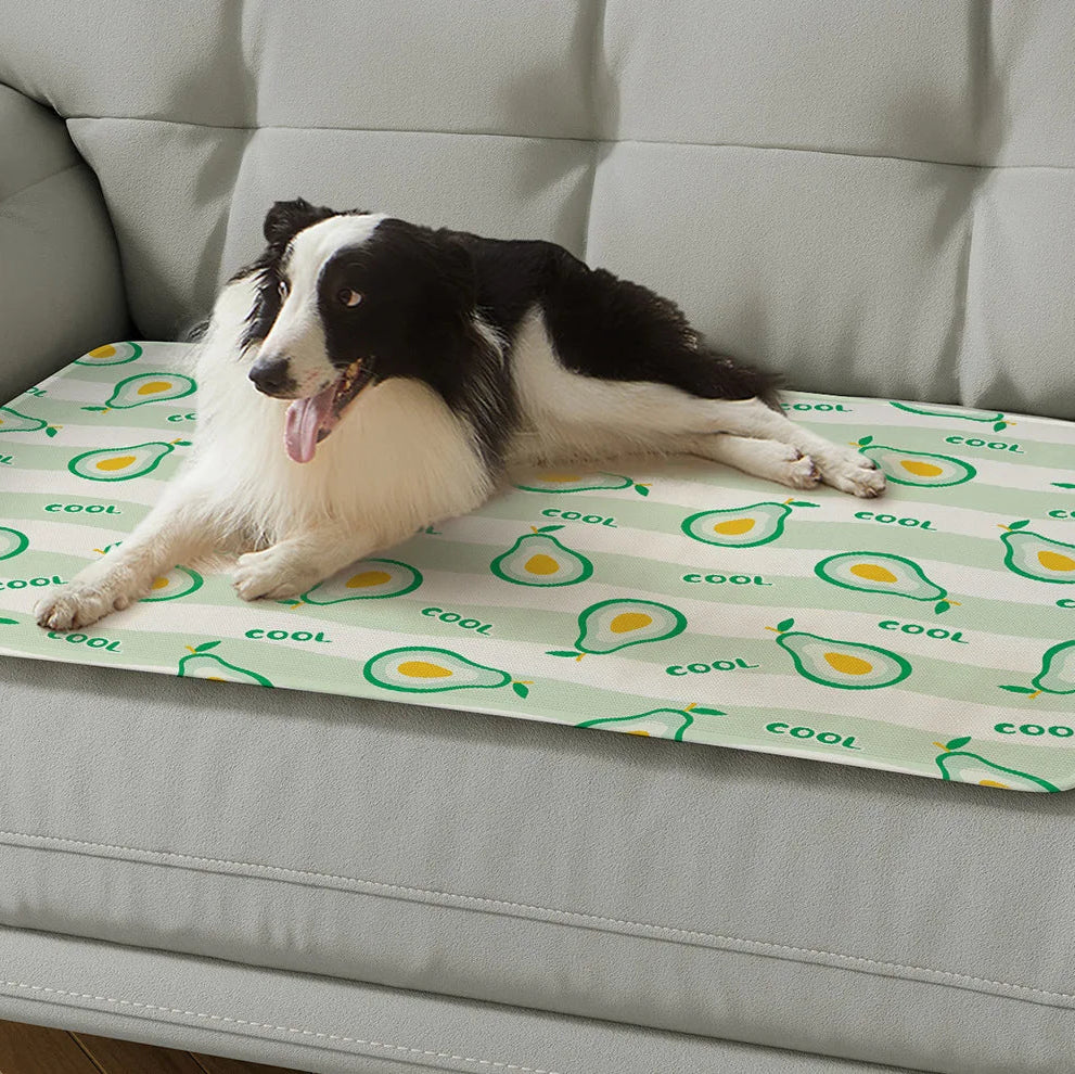 Honden Koelmat - Verkoelend met Vrolijke Fruitprint