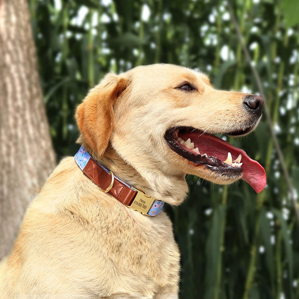 Mooie Gepersonaliseerde Halsband met Bloemenprint – Stijl en Veiligheid voor Jouw Hond