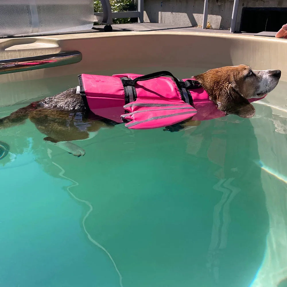 Hond Reddingsvest met Vleugels – Veiligheid en Comfort voor je Hond