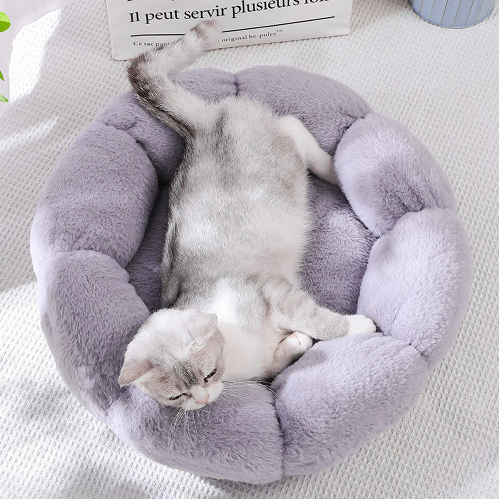 Luxuriöses Haustierkissen in Blumenform – Ultimativer Komfort und Wärme für Ihren vierbeinigen Freund