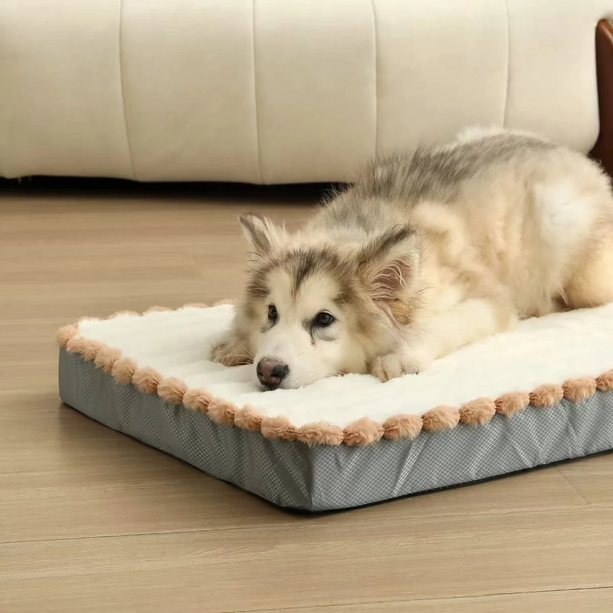 Luxuriöses orthopädisches Hundebett – atmungsaktiv, wasserdicht und maschinenwaschbar