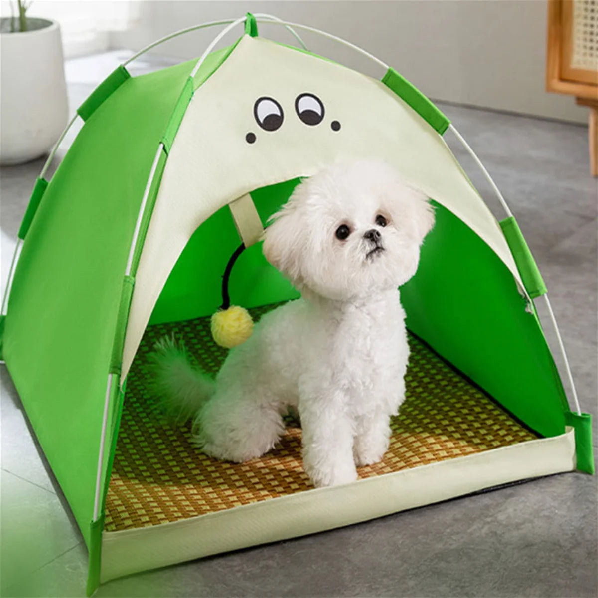 Hundetelt – Beskyt din hund med komfort og skygge