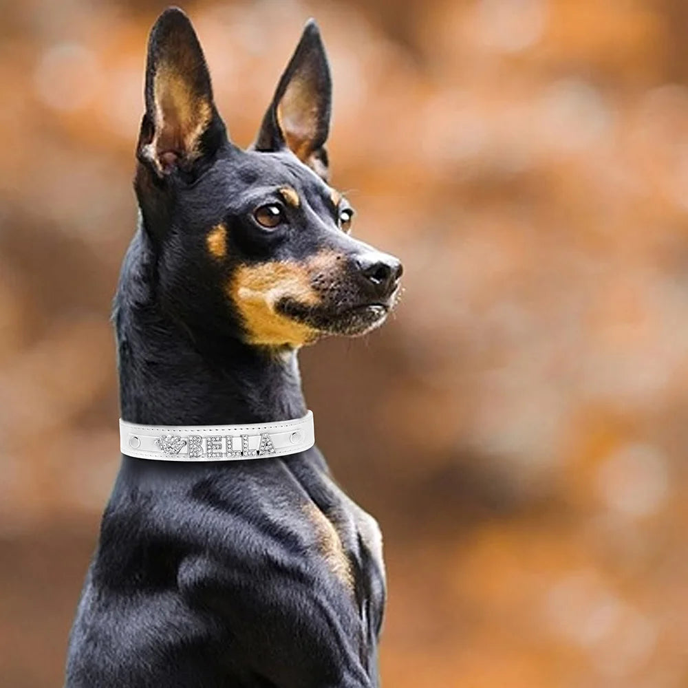 Hond Halsband Zilver Gepersonaliseerd – Hondenhalsband met Naamletters, Charms en Glinsterende Details