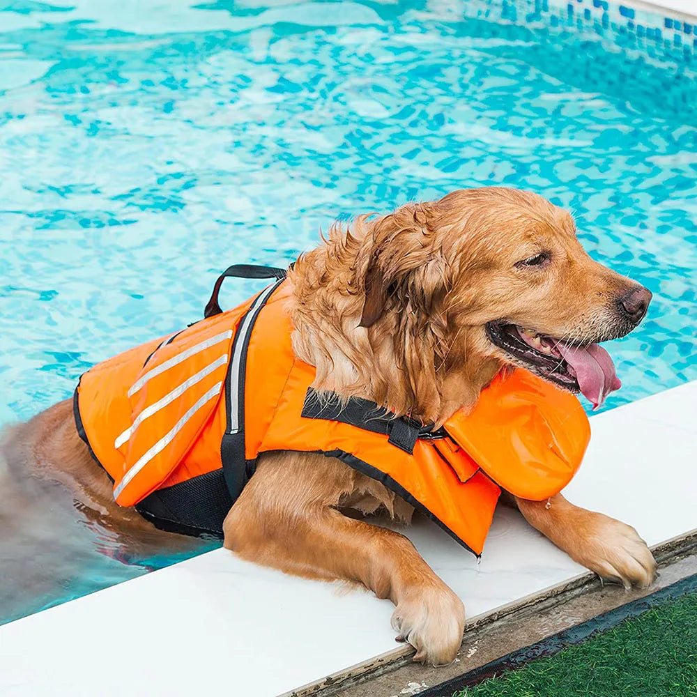 Hond Reddingsvest met Vleugels – Veiligheid en Comfort voor je Hond