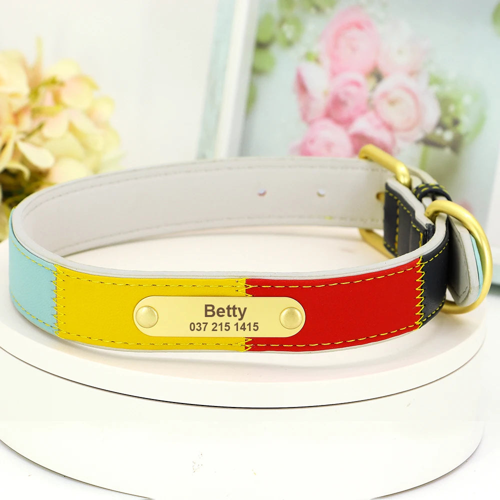Hond Halsband Kleurrijk – Leren, Verstelbare en Gepersonaliseerde Hondenhalsband met Naam