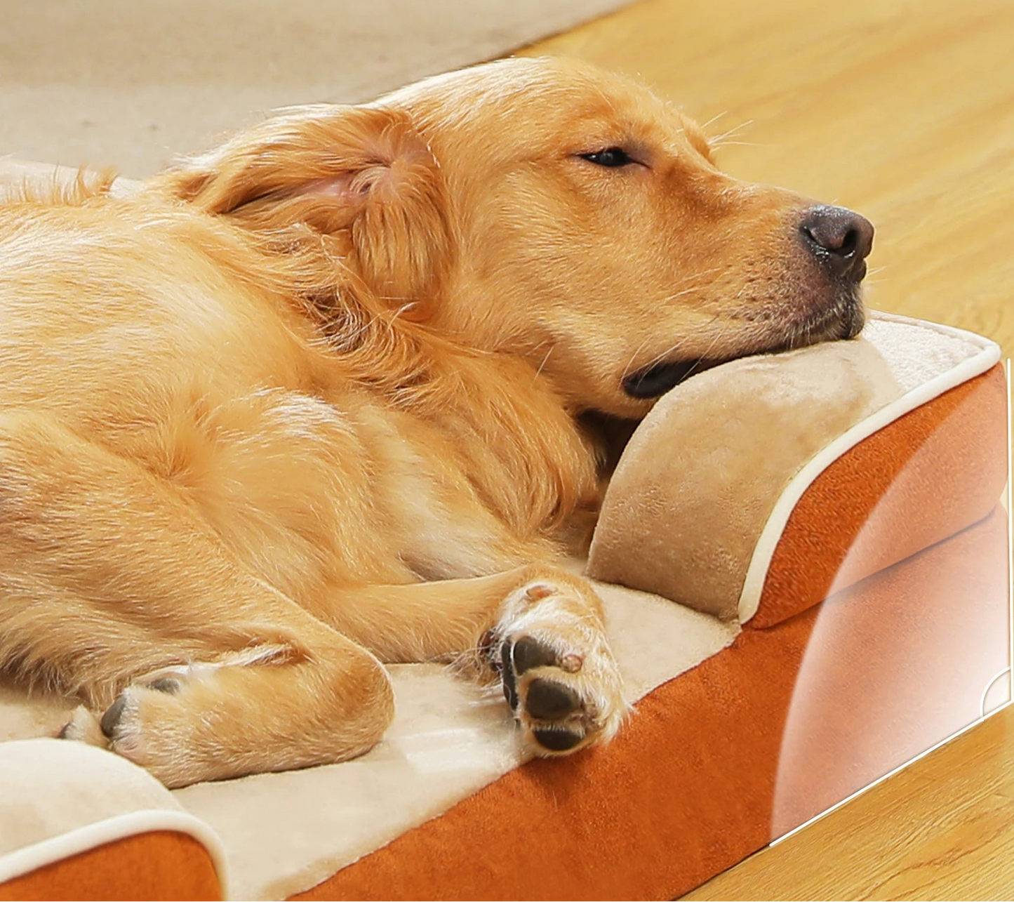 Luxus-Hundebett – Komfort, Halt und Stil in einem