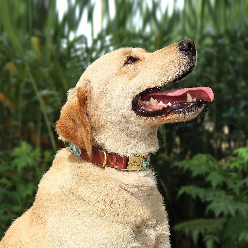 Mooie Gepersonaliseerde Halsband met Bloemenprint – Stijl en Veiligheid voor Jouw Hond