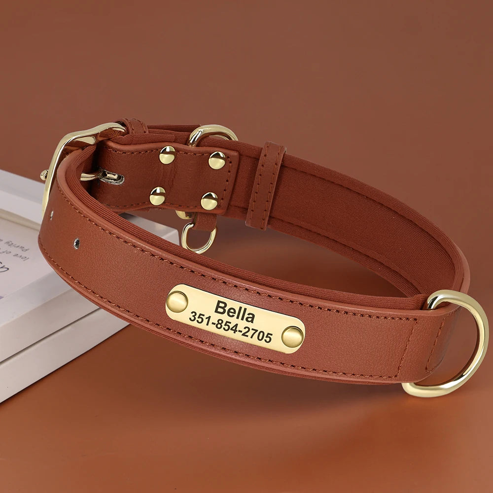 Personalisiertes Lederhalsband – Weich gepolstert für zusätzlichen Komfort