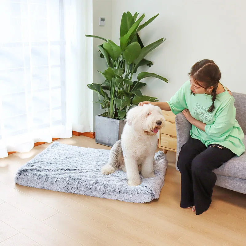 Hondenbed Ultra Plush Orthopedisch – Comfort en Ondersteuning voor je Viervoeter