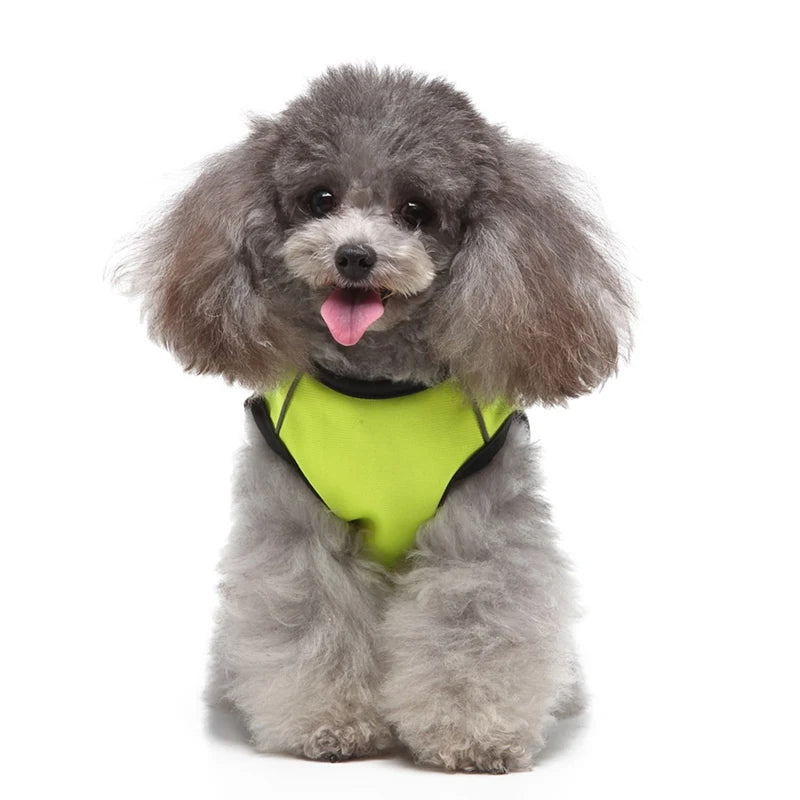 Reflecterend Hondenvest – Veiligheid en Zichtbaarheid voor Je Hond