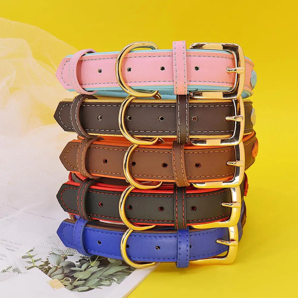 Personalisiertes geflochtenes Halsband – elegant und bequem