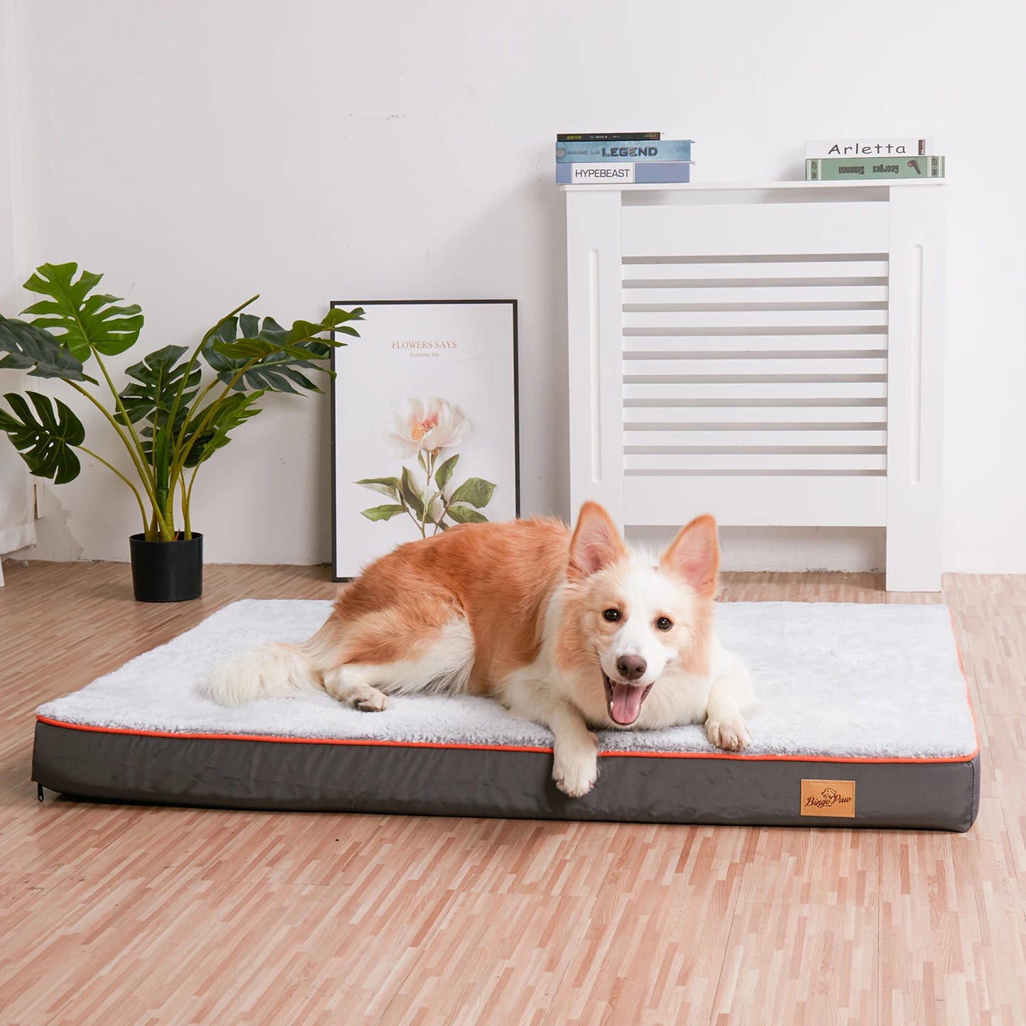Großes orthopädisches Hundebett – wasserdicht, stützend und leicht zu reinigen