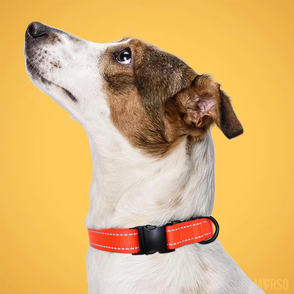 Hond Halsband Reflecterend – Verstelbare en Gepersonaliseerde Hondenhalsband met Naam in Opvallende Kleuren