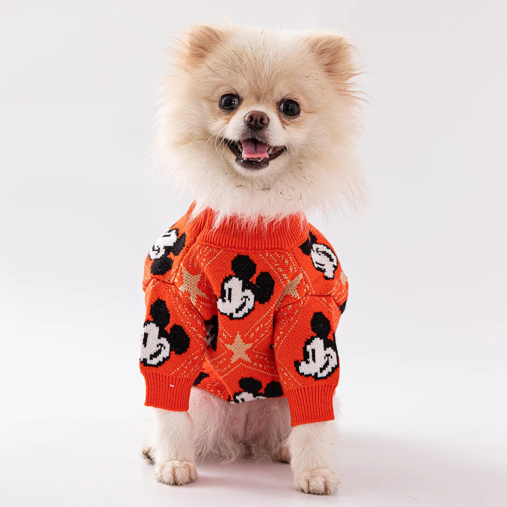 Mickey Mouse Trui