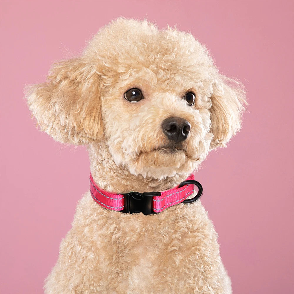 Hond Halsband Reflecterend – Verstelbare en Gepersonaliseerde Hondenhalsband met Naam in Opvallende Kleuren