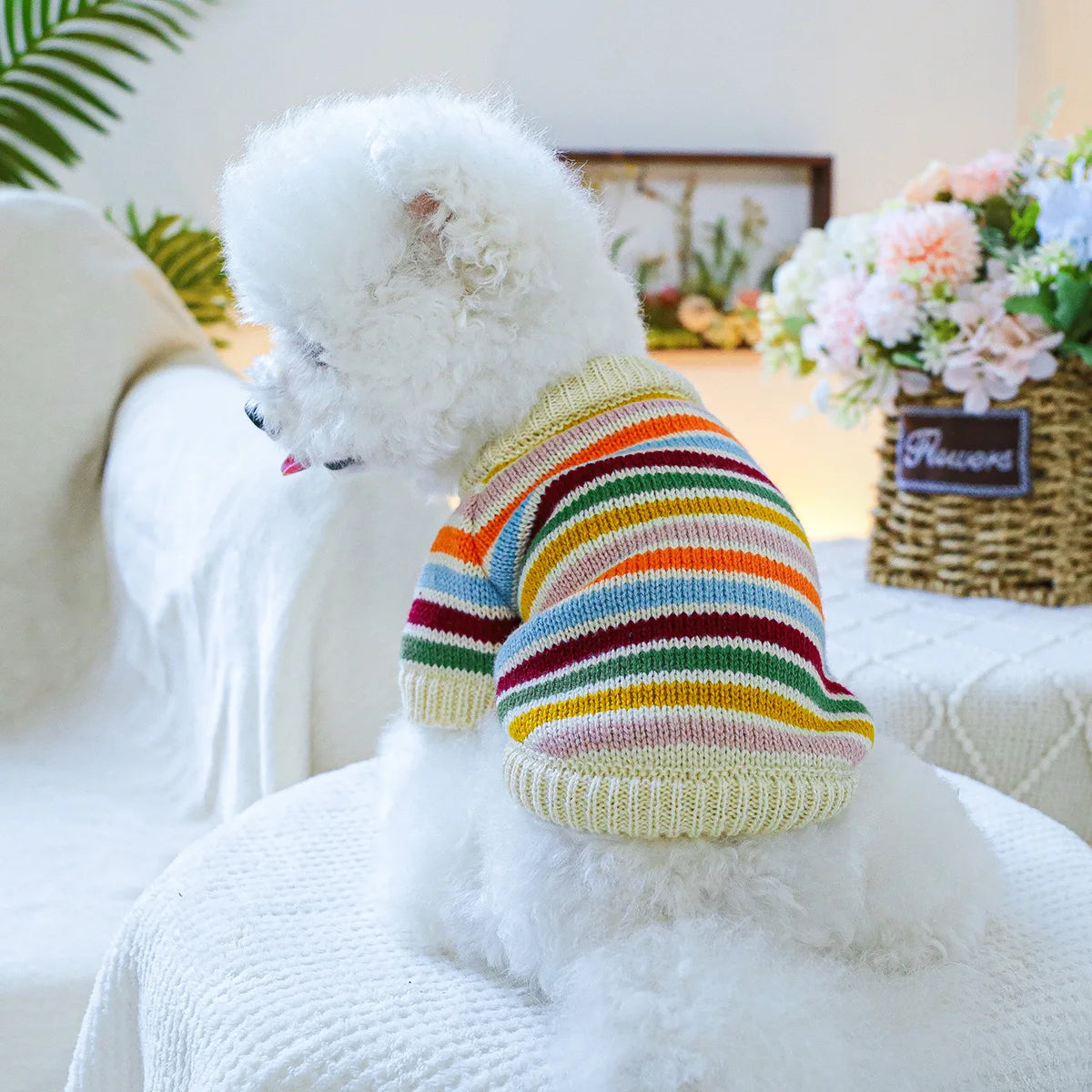 Regenboog Trui