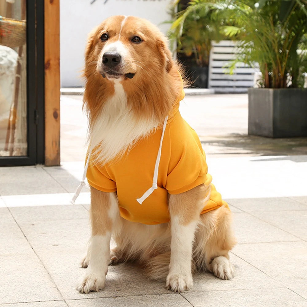 Hoodie met Zak