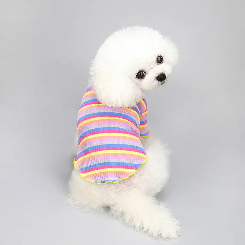 Regenbogen-T-Shirt