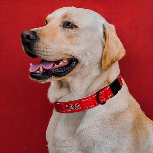 Hond Halsband Reflecterend – Verstelbare en Gepersonaliseerde Hondenhalsband met Naam in Opvallende Kleuren