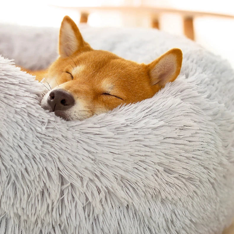 Superweiches rundes Hundebett – Wärme und Komfort für Ihren Hund