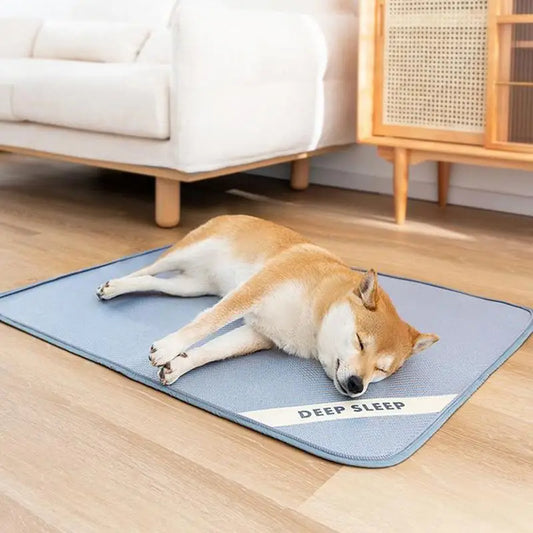 Kühlende Hundematte – Bequem und atmungsaktiv bei heißem Wetter