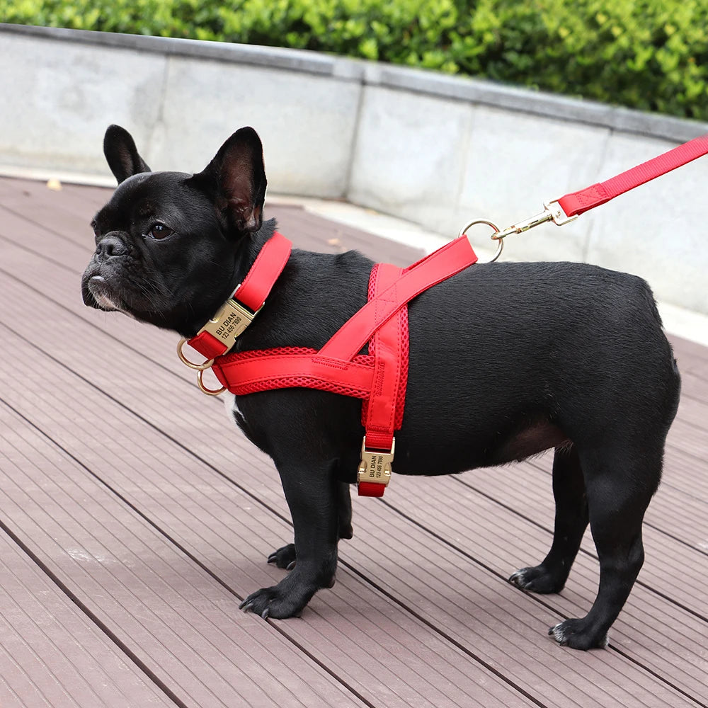 Honden Tuig & Lijn Set Gepersonaliseerd - Comfortabel & Verstelbaar