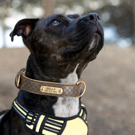 Hippe Gepersonaliseerde Halsband – Stijlvolle Identificatie voor Jouw Hond