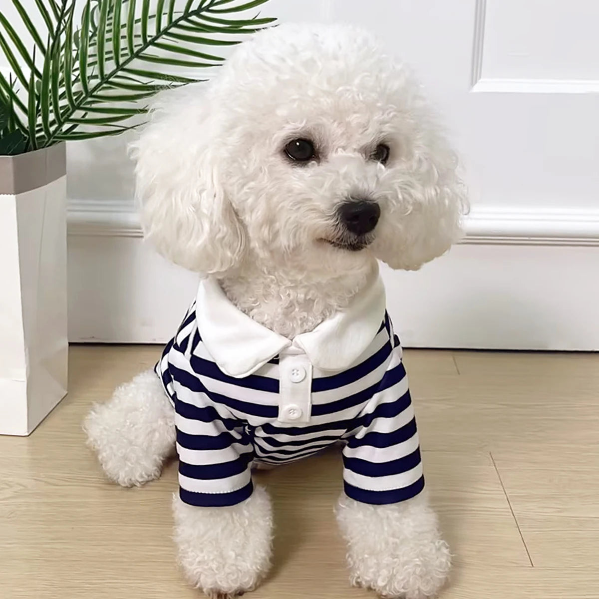 Nette Polo