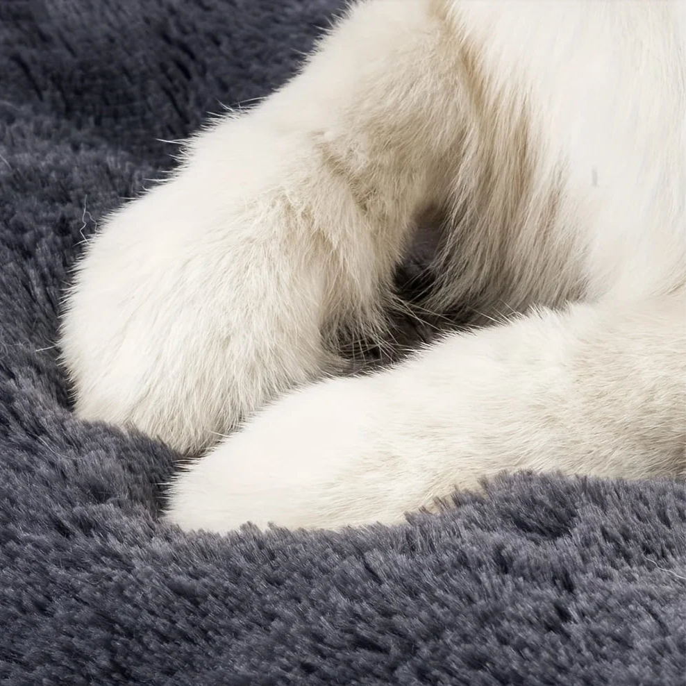 Teddy Honden Mat – Zacht, Warm en Comfortabel