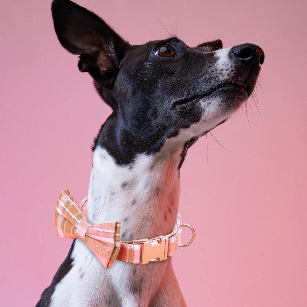 Personalisiertes kariertes Halsband mit Schleife – Stilvoller und bequemer Look für Ihr Haustier